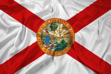 Florida Registered Agent Service