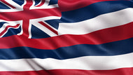 Hawaii Registered Agent Service