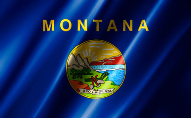 Montana Registered Agent Service