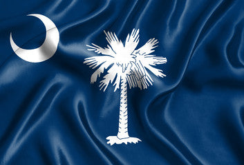 South Carolina Registered Agent Service