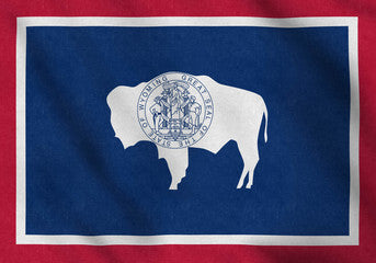Wyoming Registered Agent Service