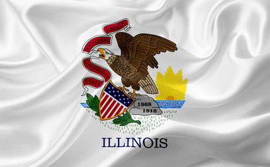 Illinois Registered Agent Service