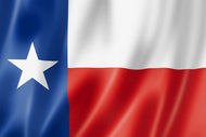 Texas Registered Agent Service